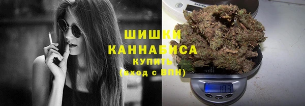 МДМА Бородино